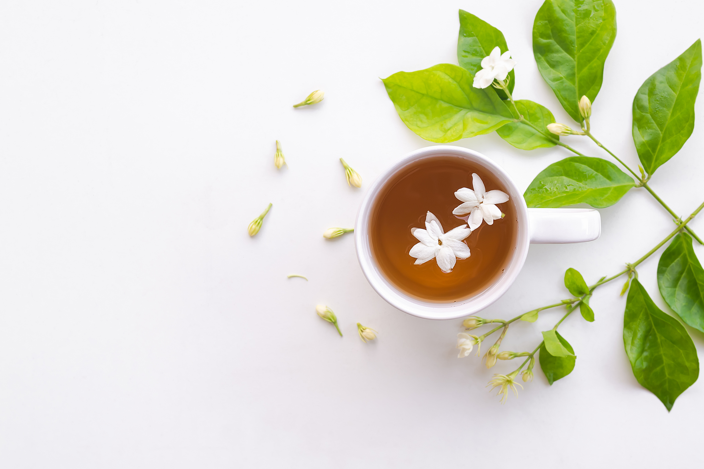 Jasmine tea with flowers jasmine in white cup on white wooden.