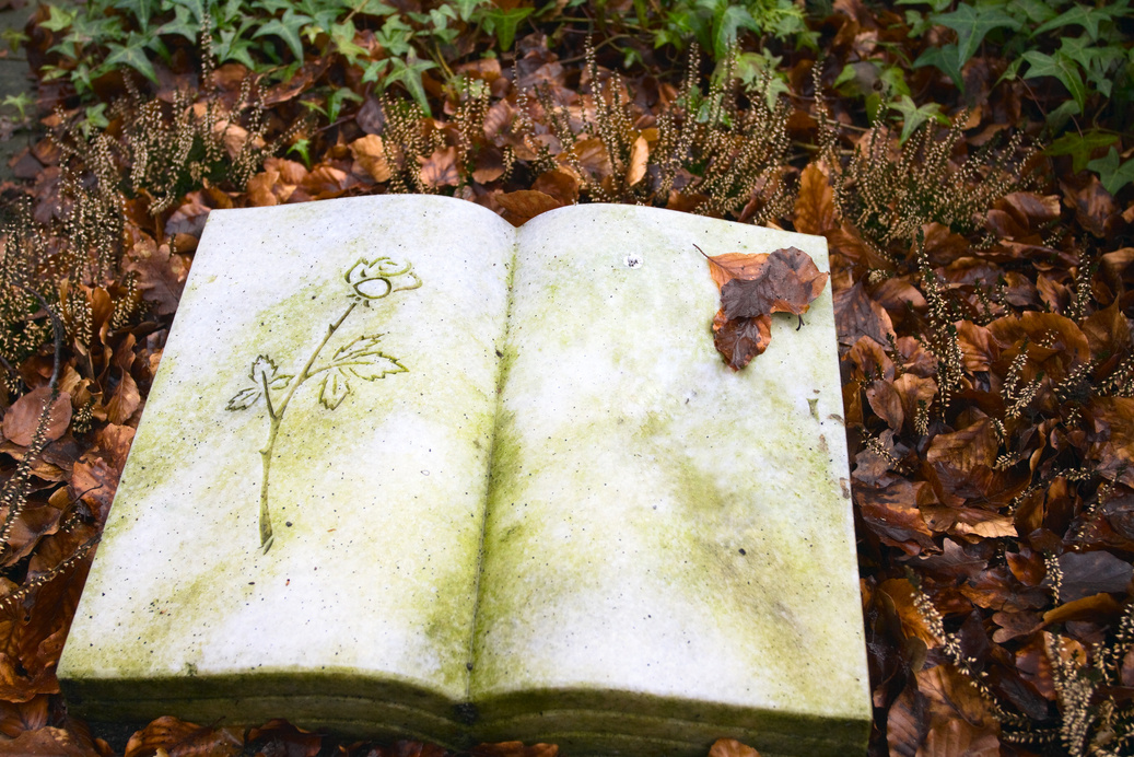 Book of life